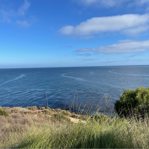 Meet your Posher, Lia - Picture 1 of 1